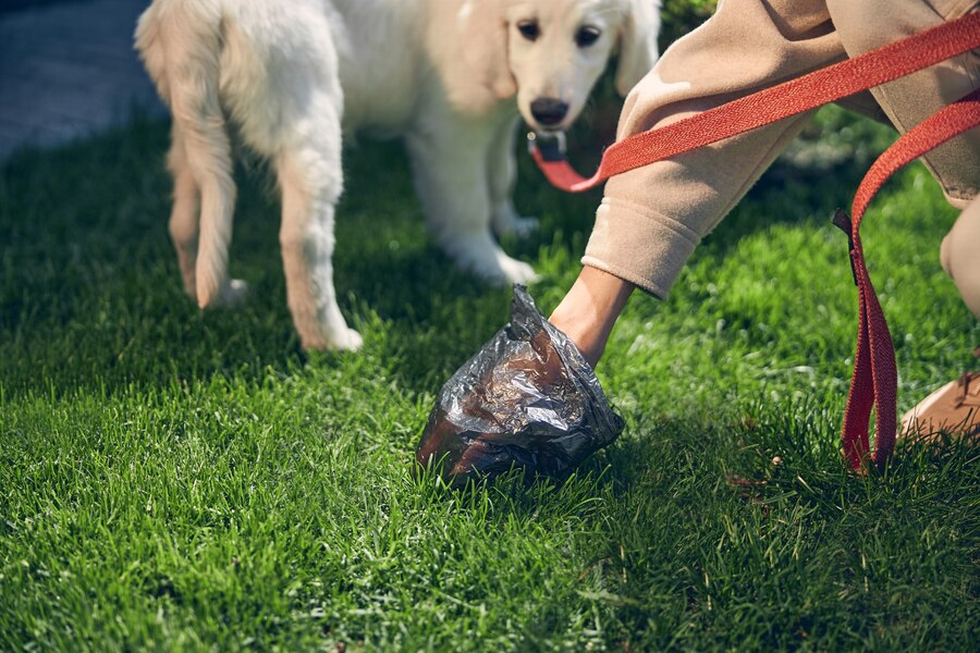 pet waste