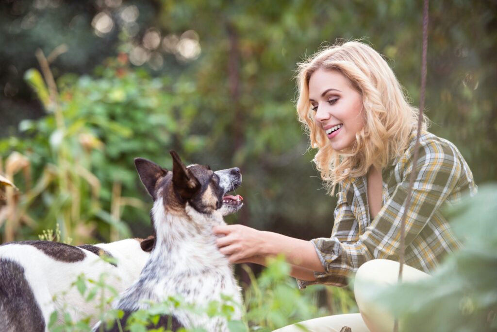 pet odors