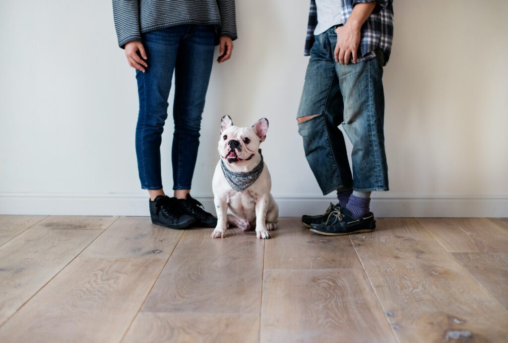dog parents
