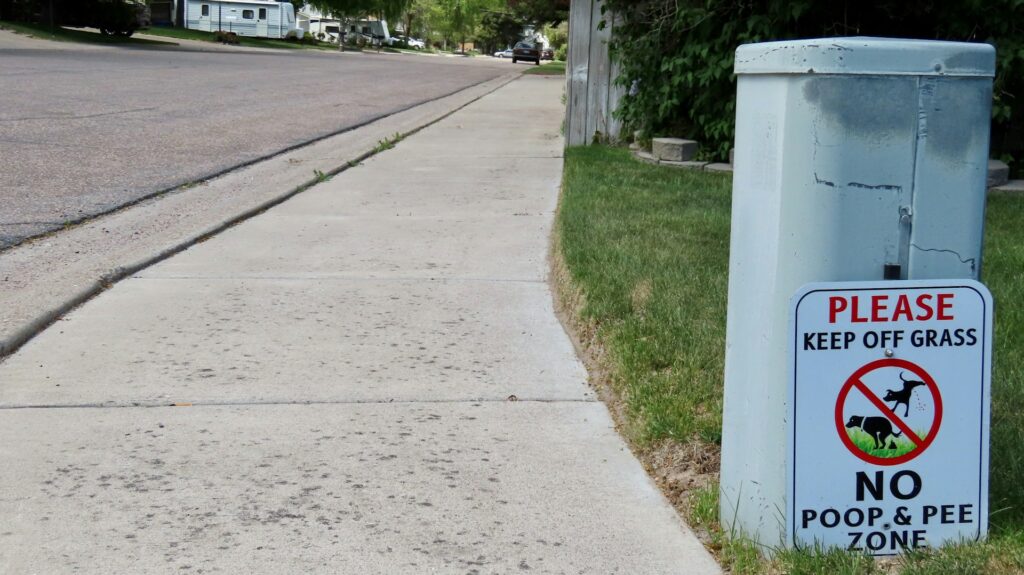 dog waste