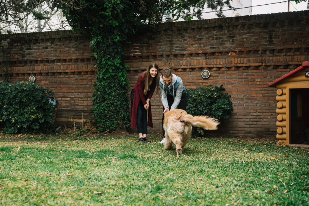 dog in yard